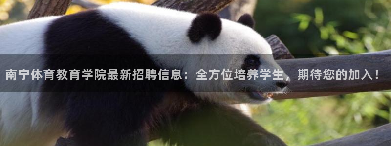 77体育app下载官网