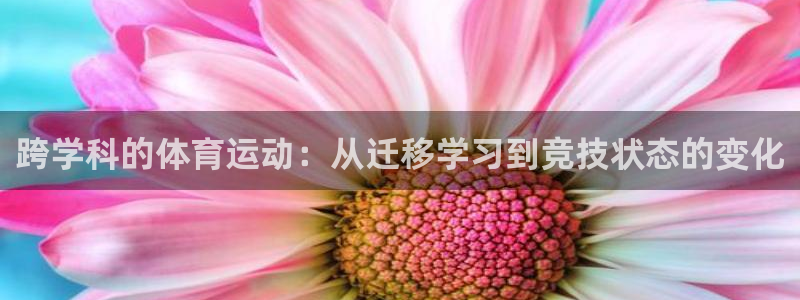 77体育