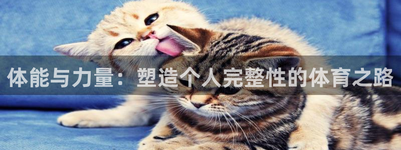 皇冠277体育：体能与力量：塑造个人完整性的体育之路
