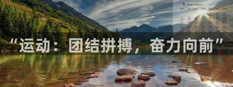 77体育app下载官网