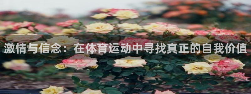 77体育app下载官网：激情与信念：在体育运动中寻找真正的自我价值