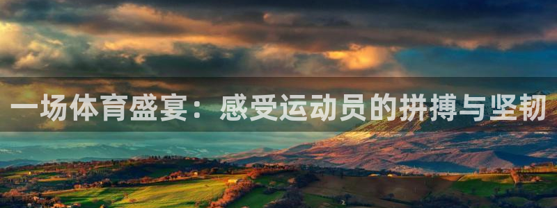 皇冠277体育：一场体育盛宴：感受运动员的拼搏与坚韧