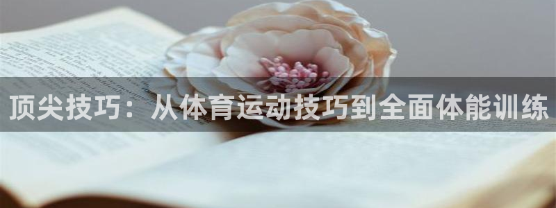 77体育app下载官网