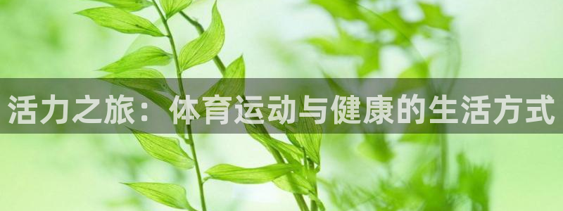 77体育官网